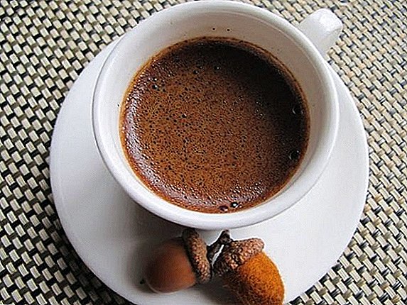 Si të përdorni acorns lisi për të bërë kafe