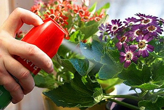 Hoe om groen seep te gebruik om plante teen siektes en plae te beskerm (instruksie)
