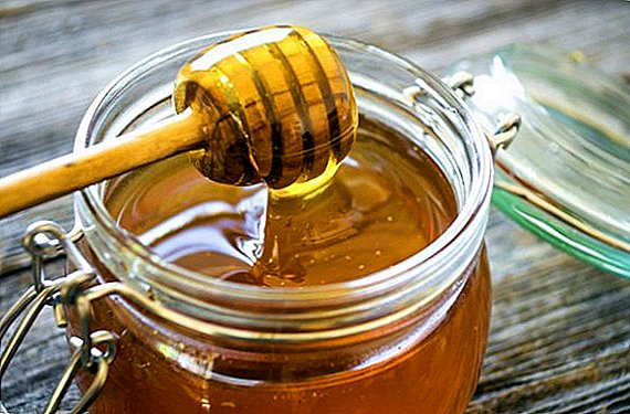 Si të humbni peshë me mjaltë