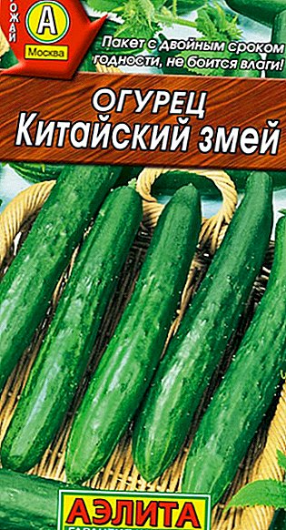 Yuav ua li cas cog thiab loj hlob cucumbers "Suav tus nab"
