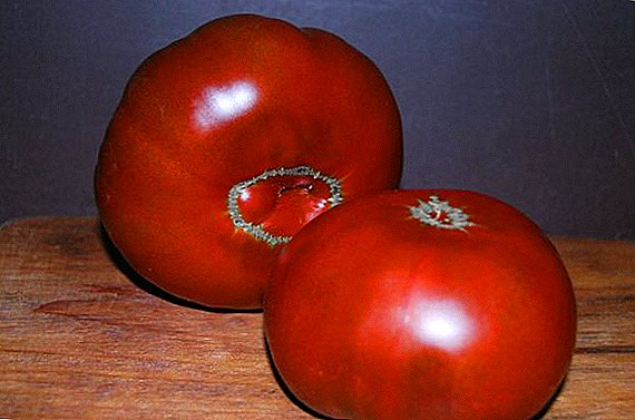 Kako saditi i uzgajati Cherokee paradajz