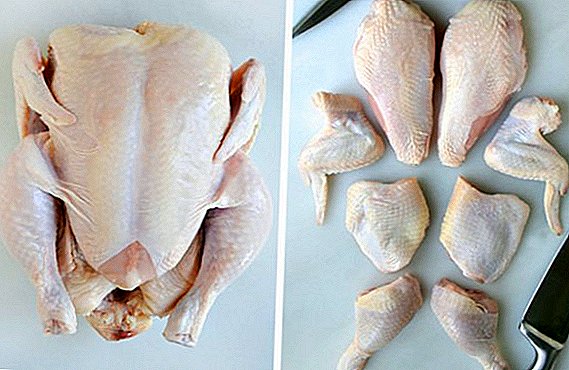 Carane tukang daging ayam: instruksi karo foto, video