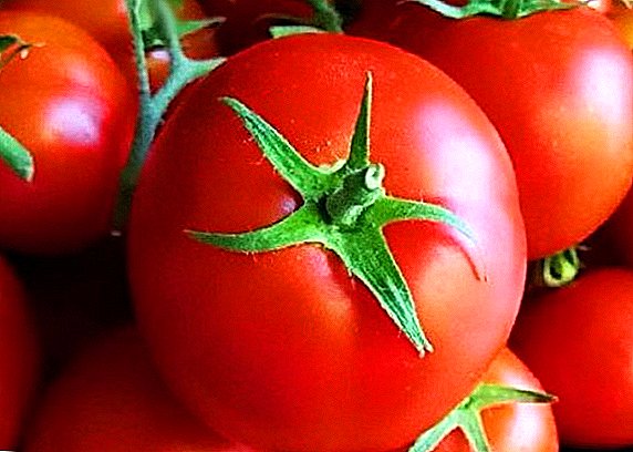 چگونه برای مراقبت از گوجه فرنگی لیانگ