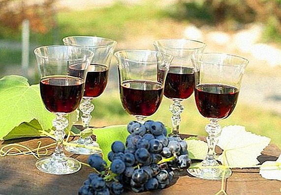 Kumaha cara nyieun chacha ti buah anggur di imah
