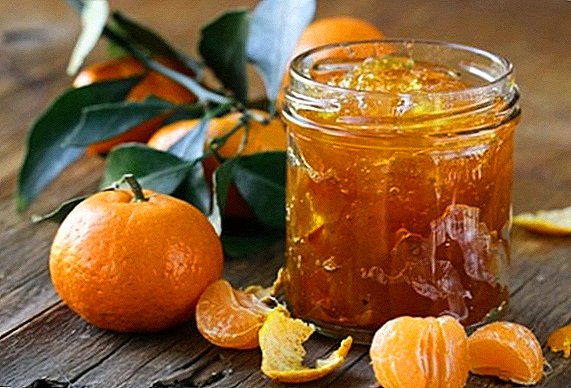 Nola prestatu mandarina marmelada: urratsez urrats errezetak argazkiekin