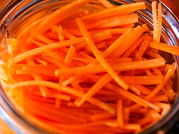 Carane cook wortel Korea kanggo mangsa ing ngarep: resep sing prasaja karo foto