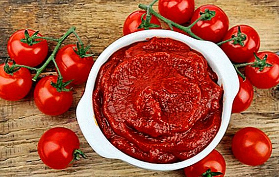 Kako kuhati paradajz paste za zimu: jednostavni recepti za vaš stol