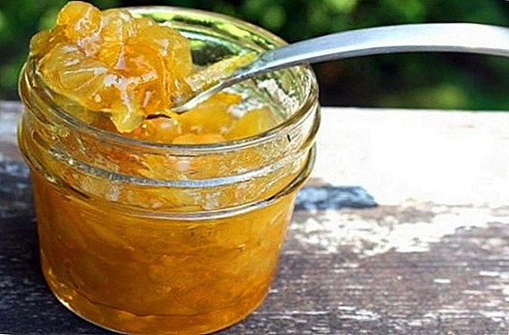 Kako napraviti džem od tikvica i naranče za zimu kod kuće