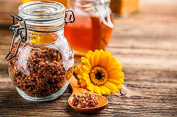 मधमाशी परागकण, उपयुक्त गुणधर्म आणि उत्पादनाच्या विरोधाभास कसे घ्यावे