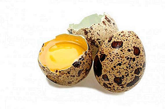 Шар буурцагны өндөгийг яаж авах вэ: түүний ашиг тус, хор хөнөөл