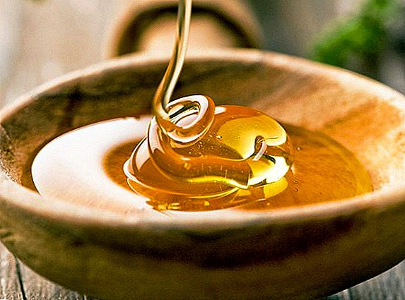 Како да се провери квалитетот на мед со јод