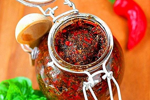 Како да направите жешка пиперка adjika: чекор-по-чекор рецепти со слики