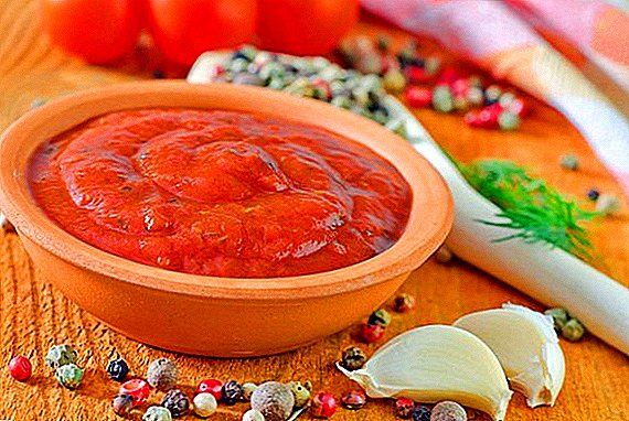 Cara nyieun adjika tomat jeung peppers for teu usum: resep step-by-step pikeun masak di home