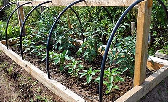 چگونه می توان یک قوس برای یک گلخانه را با دستان خود ساخت