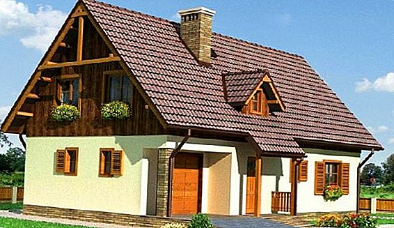 Kako napraviti zabatni krov kuće, šupe i garaže