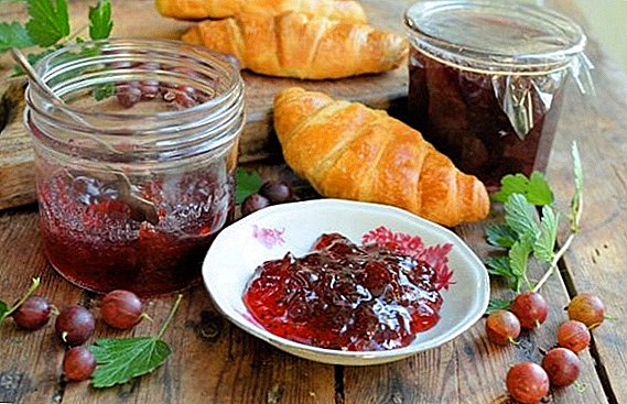 Nola egin gooseberry marmelada: gehien appetizing errezeta