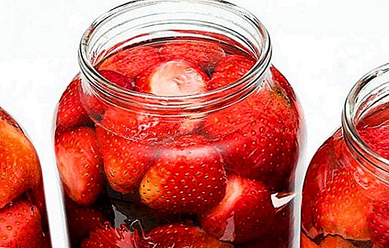 Kumaha cara nyieun compote strawberry for teu usum: resep lengkah-ka-lengkah sareng poto