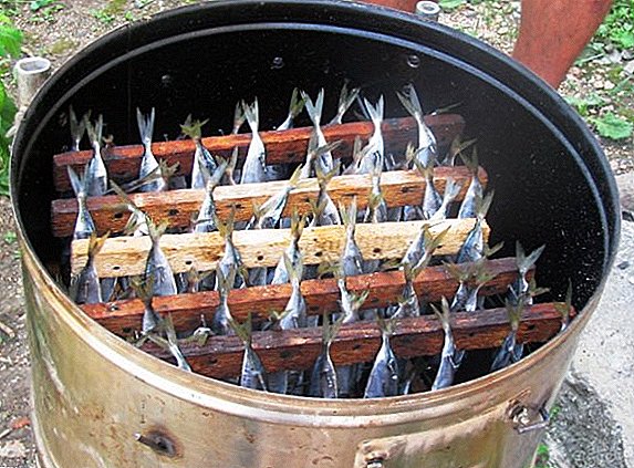 Paano gumawa ng mainit na pinausukang smokehouse mula sa magagamit na mga tool