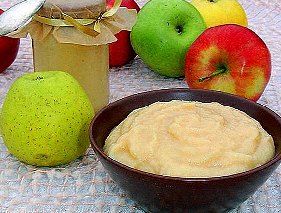 Kako napraviti jabuku sa kondenzovanim mlijekom: korak po korak recept sa fotografijama