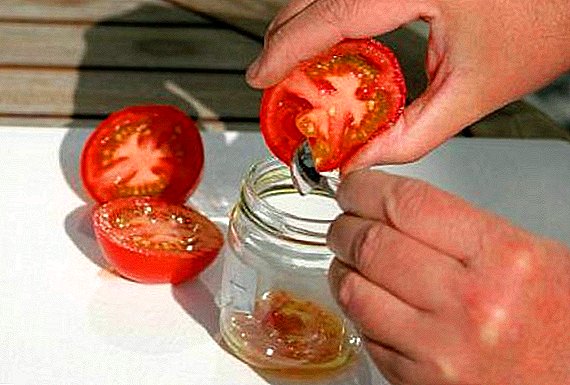 Cara ngumpulake wiji tomat kanggo tanduran dhewe