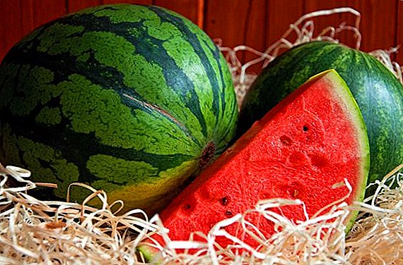 Wéi gesidd Dir watermelon virum Neie Joer