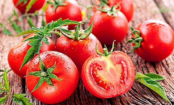 Carane tuwuh tomat "Verlioka Plus" ing kasur ing ngarep ngarep
