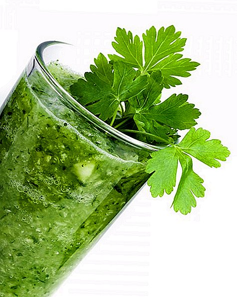 Çawa çawa li malê parsley juice vedixwe