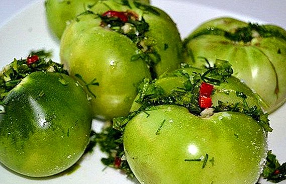 Kako ukusno kuhati zelene paradajze u gruzijskom za zimu