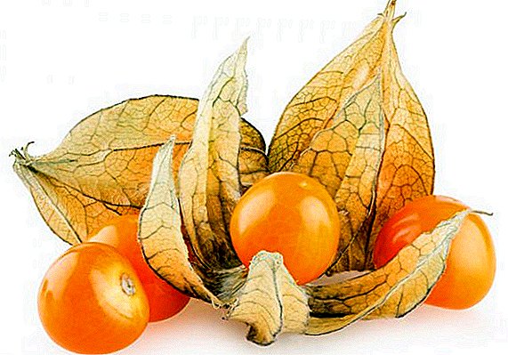 Como preparar o Physalis para o inverno: receitas para a preparación do Physalis de froitas e vexetais