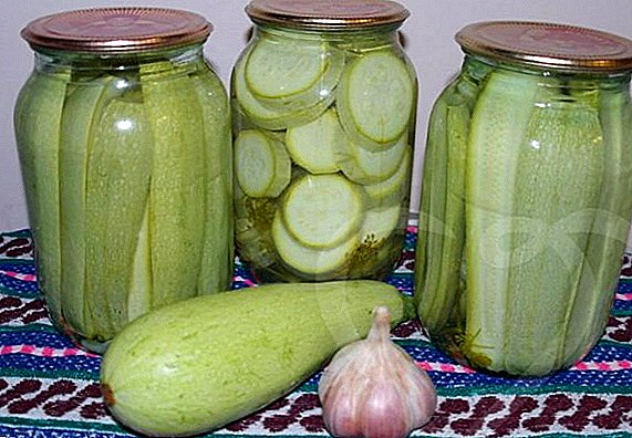 Conas zucchini a ullmhú don gheimhreadh