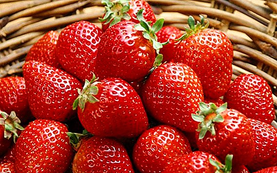 Kif tipprepara l-frawli għax-xitwa: riċetti għall-preservazzjoni tal-berries