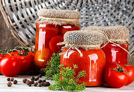 Kumaha nyiapkeun tomat for teu usum, urang diajar cara