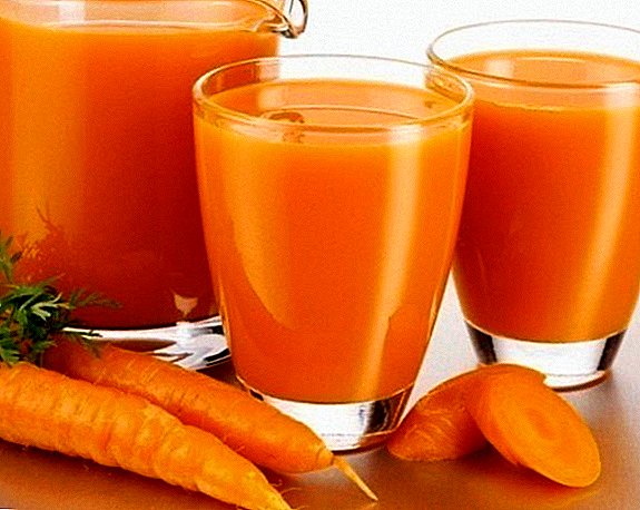 چگونه می توان آب میوه هویج را برای زمستان رول کرد