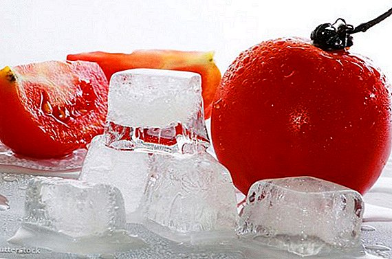 Frigore hiemis quam tomatoes freezer et responderet de eis
