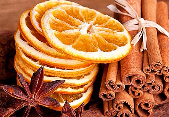 Како да се исушат портокалите за домашен декор