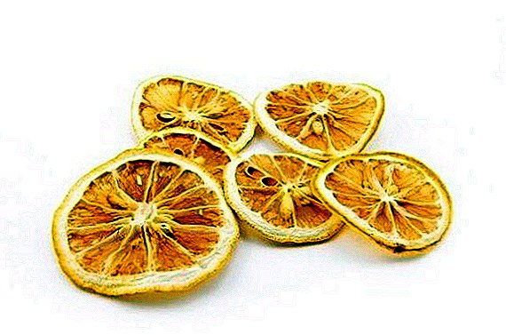 Como secar un limón para decorar