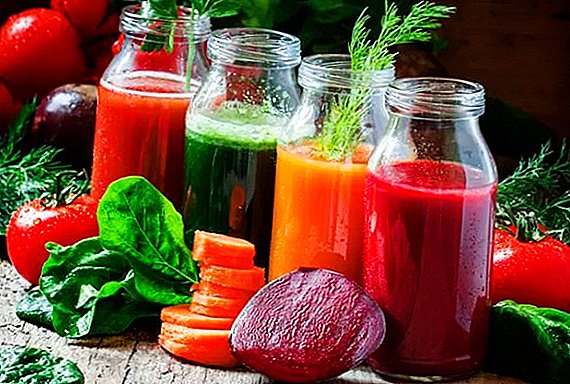 Šta su sokovi od povrća i kako su korisni?
