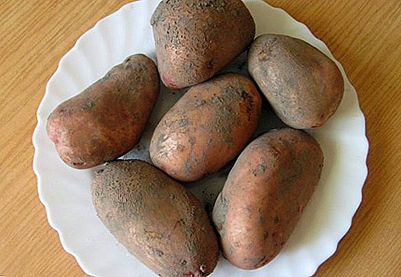 Potatoes «Slavyanka ': quod descriptio features facere in cultura,