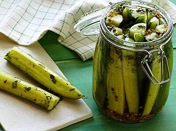 Canned cucumbers tare da mustard tsaba ga hunturu: mataki-mataki girke-girke