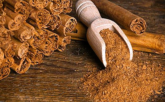 Cinnamon: zer da erabilgarria, zer laguntzen, non gehitu, nola aplikatu