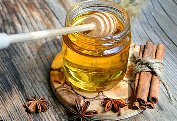 Canela con mel: propiedades e contraindicacións útiles, receitas