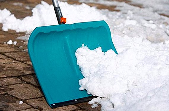 Do-it-yourself snow shovel: kung ano ang kailangan mong isaalang-alang kapag gumagawa ng iyong sariling mga tool sa pag-alis ng snow