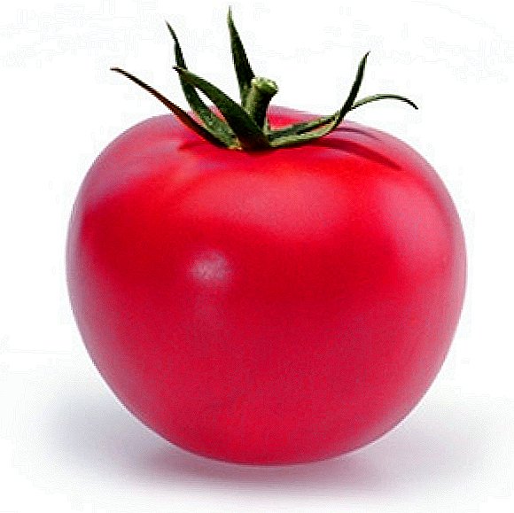 Ширээн дээр хамгийн сайн улаан лооль
