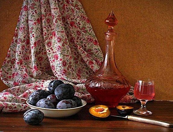 Resep paling apik kanggo nggawe liqueurs saka plum, utawa cara nggawe pancake
