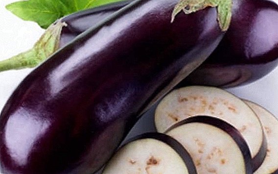 ဆိုက်ဘေးရီးယားကြီးထွားလာမှုအတွက် aubergine ရဲ့အကောင်းဆုံးအမျိုးပေါင်း