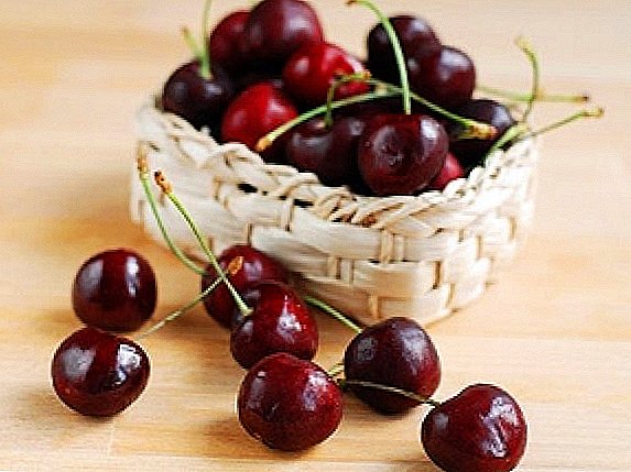 Ang labing maayo nga grado sa cherries alang sa rehiyon sa Moscow