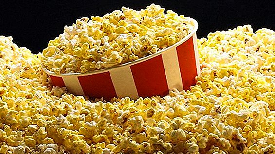 Ang pinakamahusay na varieties ng mais para sa paggawa ng popcorn