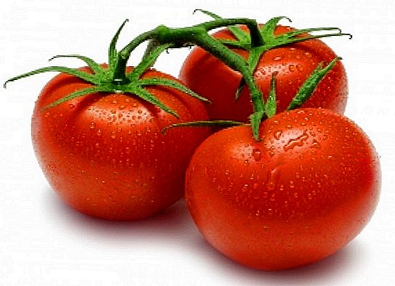 Najbolje sorte paradajza za Sibir