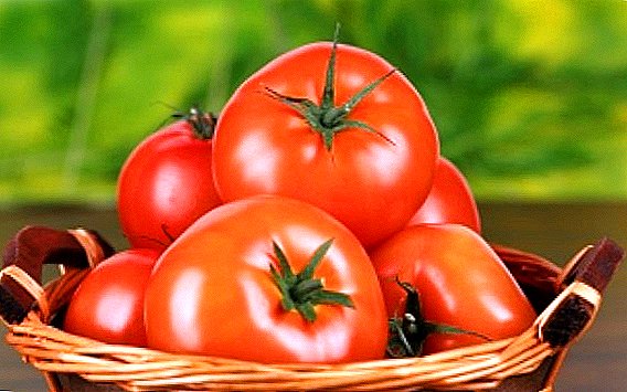 ٹماٹر کی بہترین اقسام: وضاحت، فوائد، نقصانات