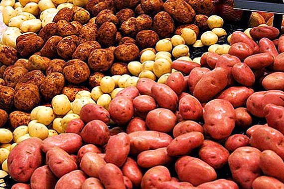 सायबेरियामध्ये वाढत बटाटे वर शीर्ष टिप्स